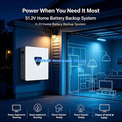 51.2V LiFePO4 Wall Power Storage Battery, Complete BMS Protection Emergency Blackout Power Supply 