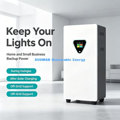 51.2V 300Ah High Power LiFePO4 Battery Peak 400A Discharge Medical Device Home Blackout Emergency Power Source
