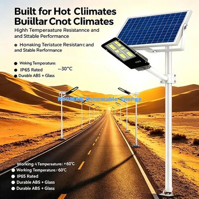 Off Grid No Electricity Cost Solar Street Light for Farm Park Pathway Lighting