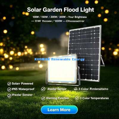 6500K Daylight Solar Courtyard Light IP65 Waterproof Auto Sensor Yard Walkway LED Light
