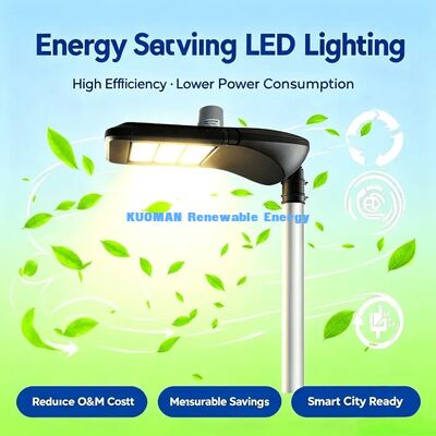 High‑Performance Smart LoRa LED Road Lamp, Dialux Lighting Design Support, Government Road Projects