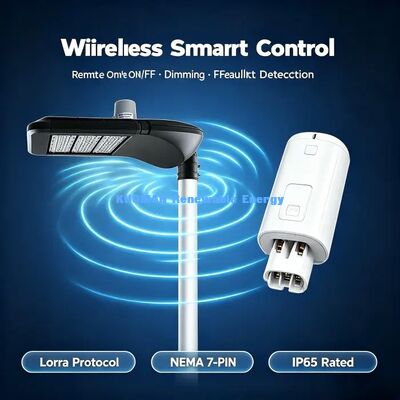 Smart DALI‑Dimmable LED Street Light, LoRa Single Lamp Controller, Smart Village Lighting Project