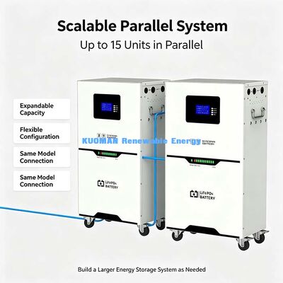 51.2V 100Ah Solar Storage LiFePO4 Battery, Max 100A Continuous Charge/Discharge