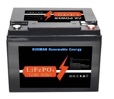 537.6Wh 12V 40Ah Lithium Battery Deep Cycle LiFePO4 Battery for Energy Storage and Golf Cart