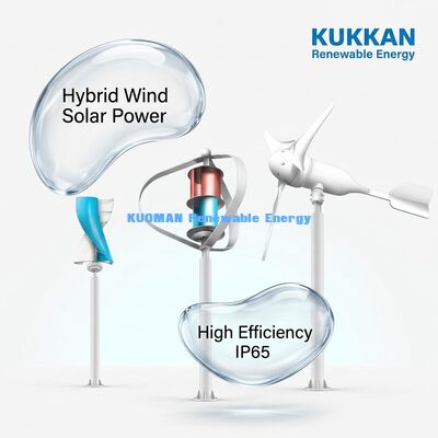 100W-200W Wind-Solar Hybrid Street Light with IP65 Waterproof and 12hrs*365days Working Time for Off-Grid Roads