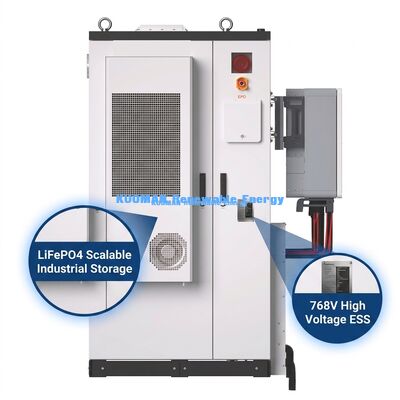 Commercial Energy Storage ESS Battery with 215KWh Capacity for Peak Shaving and IP65 Protection