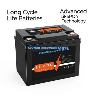 537.6Wh 12V 40Ah Lithium Battery Deep Cycle LiFePO4 Battery for Energy Storage and Golf Cart