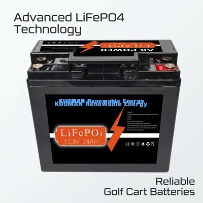 12V 24Ah LiFePO4 Battery with 307.2Wh Energy and ABS Case Material for Deep Cycle Applications