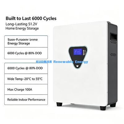 51.2V 300Ah LiFePO4 Wall Type Home Energy Storage Battery 15.36kWh Solar Backup Power House & Small Commercial Use 