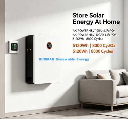 48V 100Ah LiFePO4 Battery with BMS Protection and 8000 Cycles for Home Battery Storage