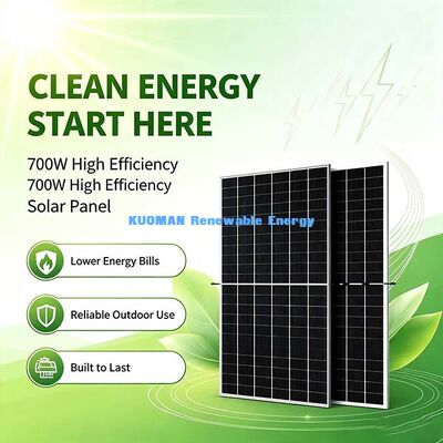 Off‑Grid 700W Monocrystalline Bifacial Solar Panel, Dawn & Cloudy‑Day Power Supply