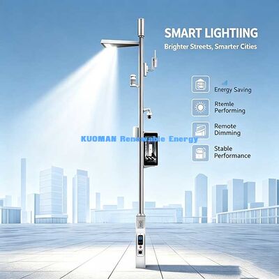 Multi‑functional Smart Pole, Smart Street Light with Weather Station, WiFi AP & EV Charger