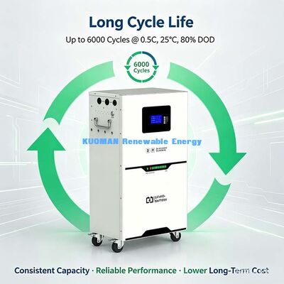 51.2V 100Ah LiFePO4 Powerwall, 6000 Cycles, Support Up to 15 Units Parallel